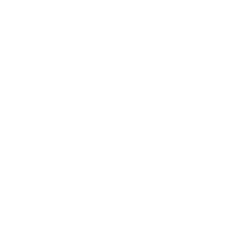 CONSULTATION PROCESS