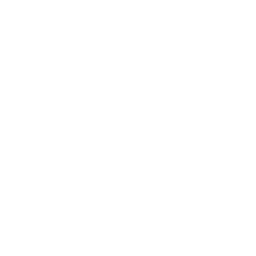 MANUSCRIPT SUBMISSION